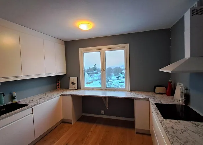 In Out 2bdr Apartment Trondheim